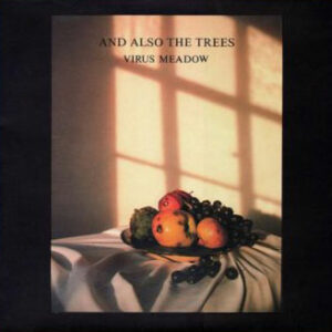 And Also The Trees - Virus Meadow artwork